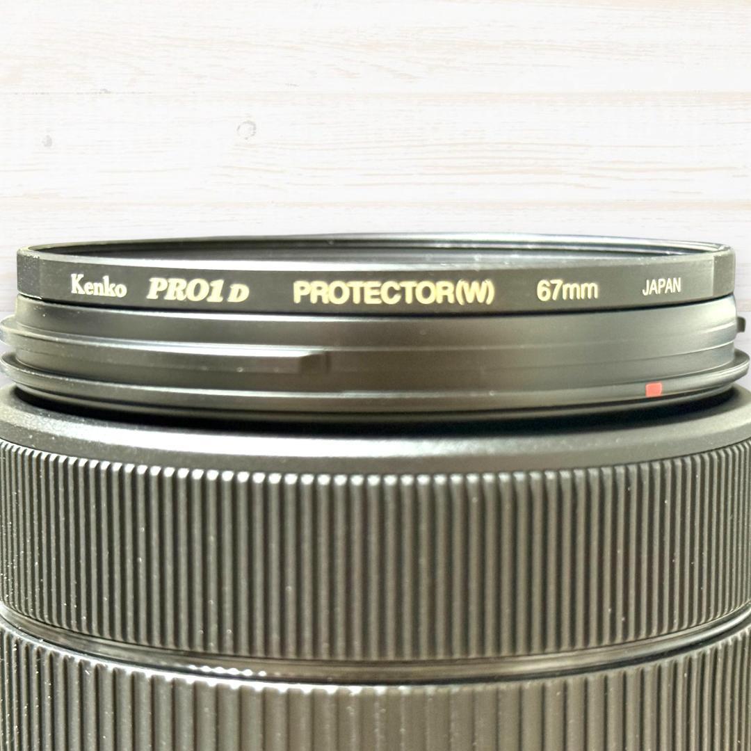 Canon ズームレンズ EF-S 18-135mm IS USM #481