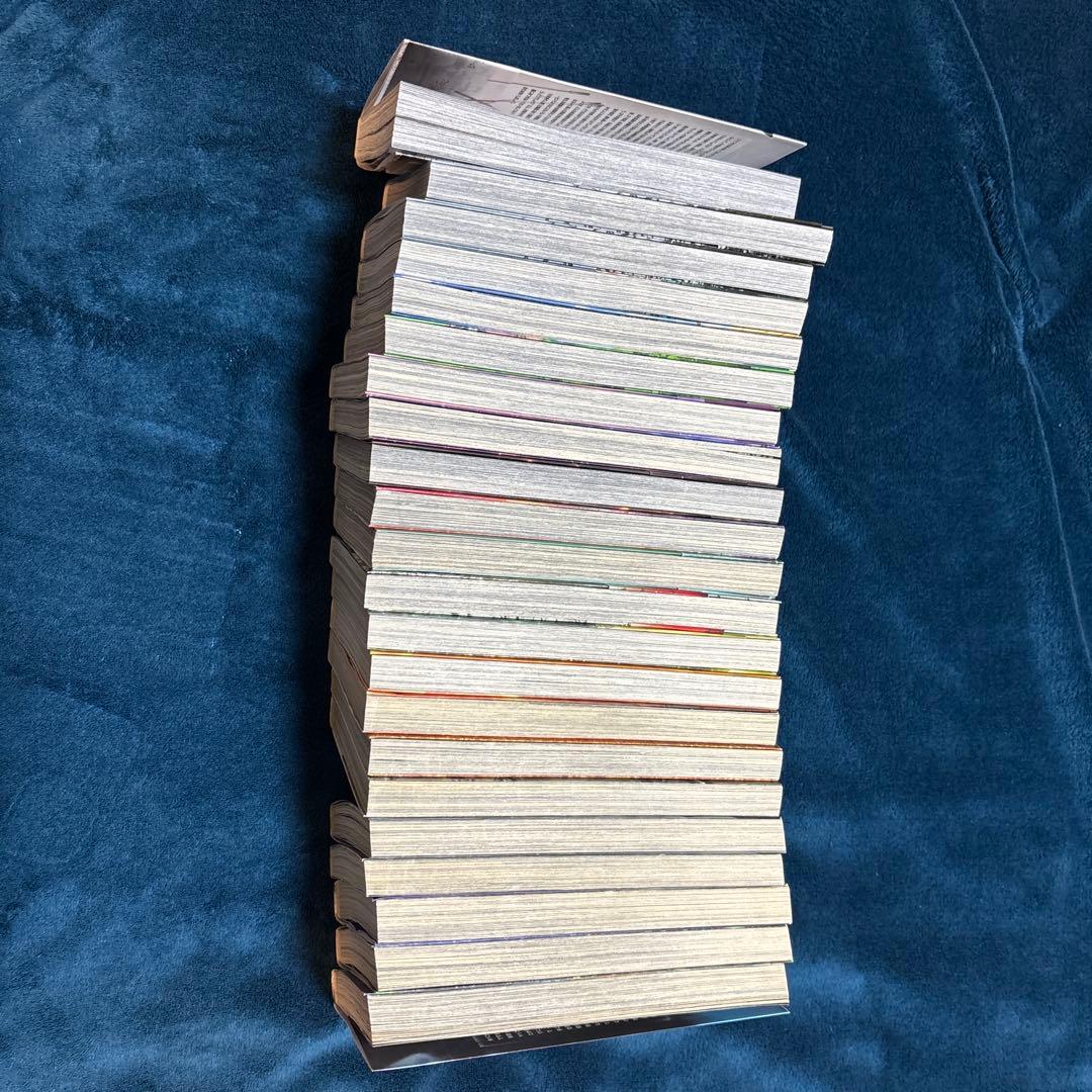 マ*引様 ヴィンランド・サガ