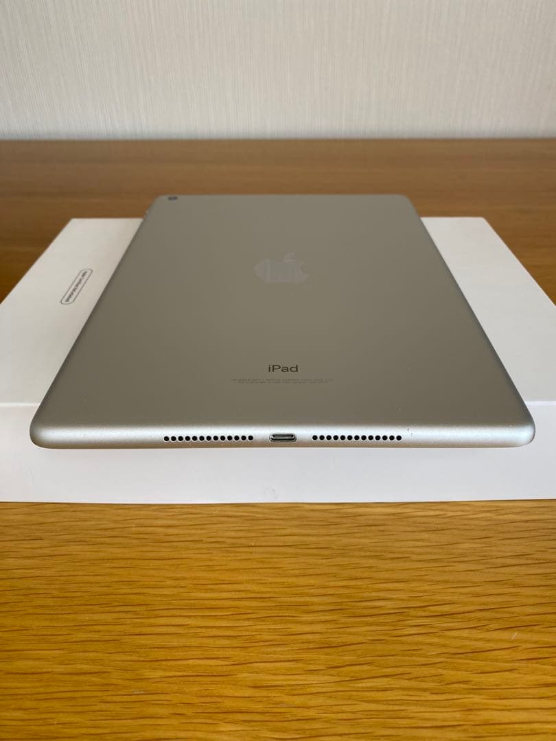 iPad 第5世代 128GB 美品　純正充電器付き　iPad本体