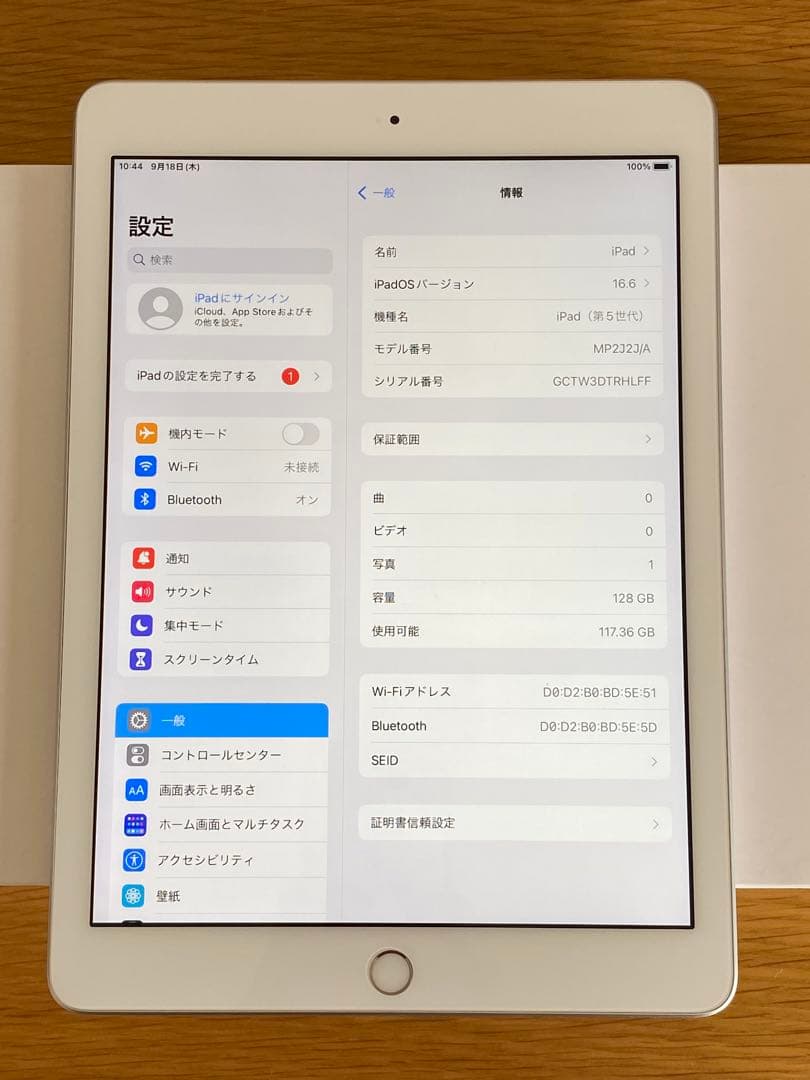 iPad 第5世代 128GB 美品　純正充電器付き　iPad本体