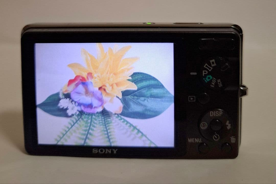 [美品] ソニー SONY Cyber-Shot DSC-W380 コンデジ