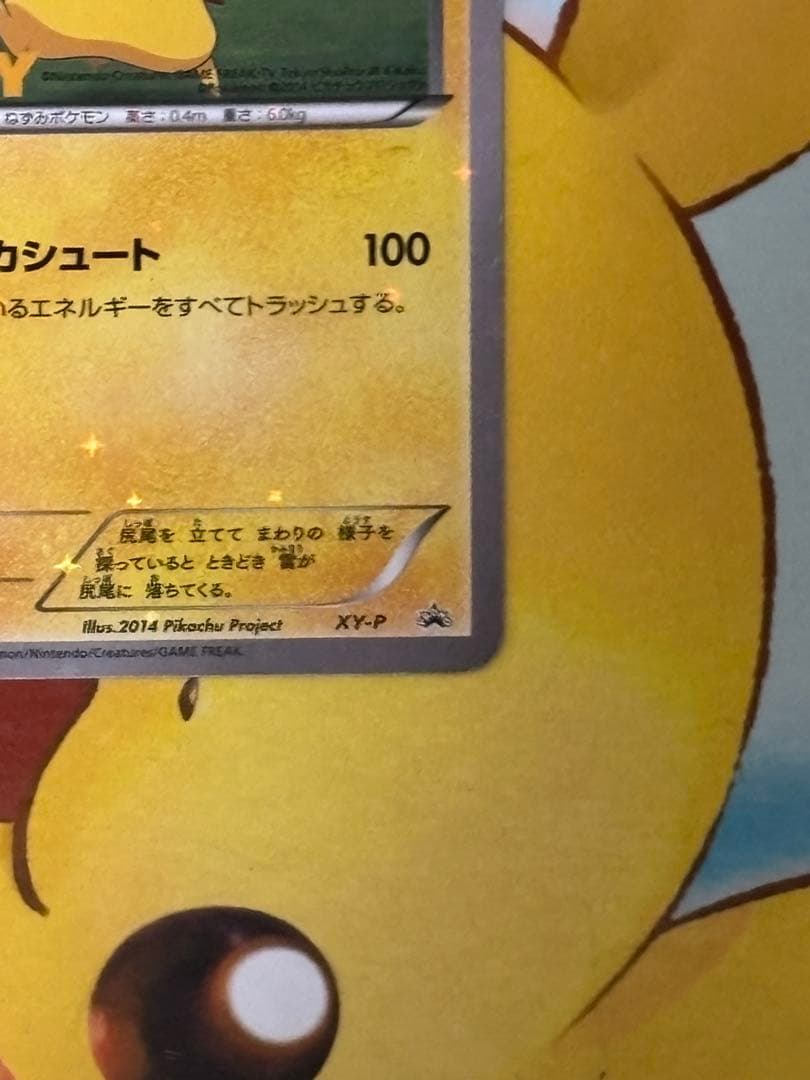 【高騰↑】XY-P ピッチのピカチュウ_Jリーグ「ファミリー Joinデイズ」