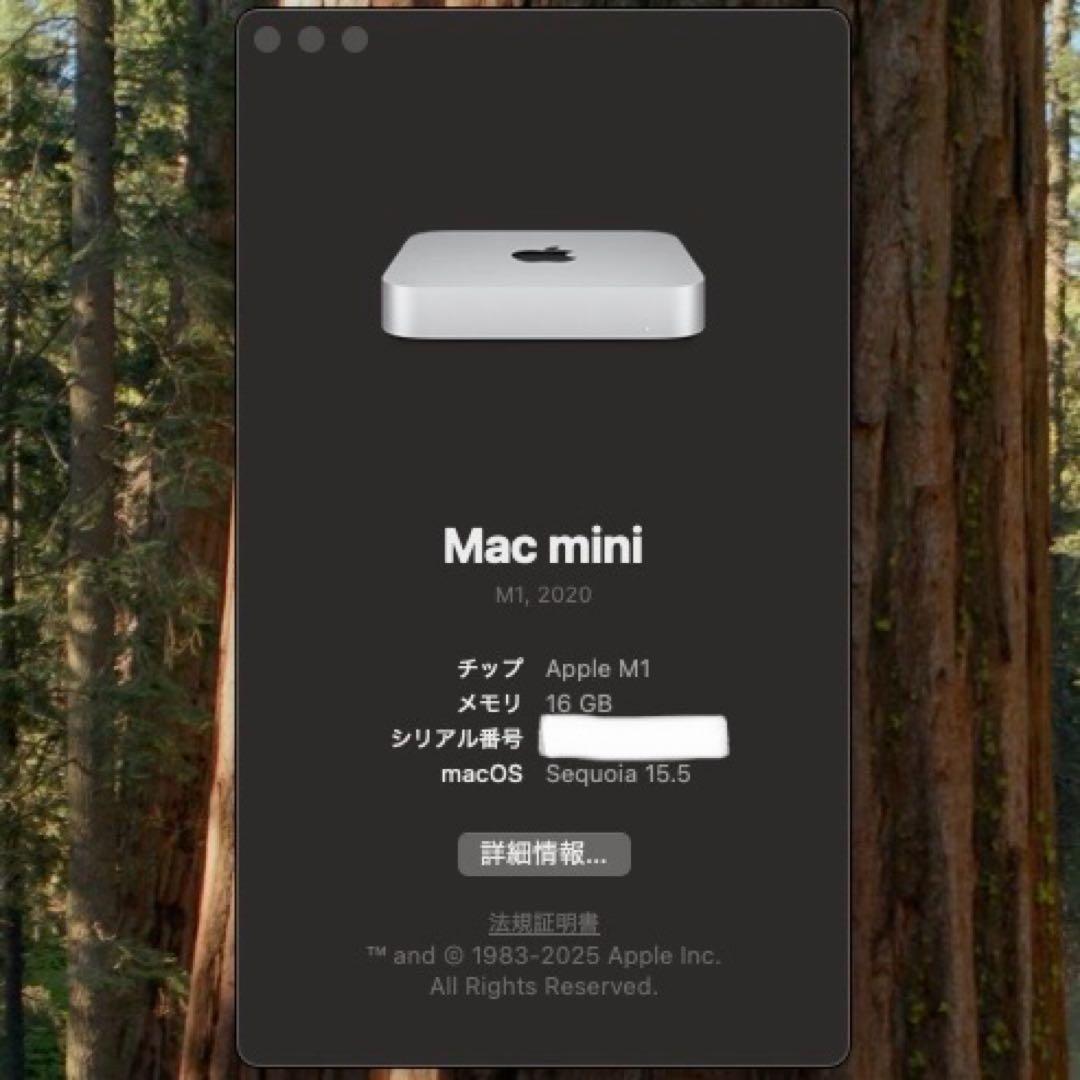 【美品】Mac mini 2020 (M1) 16GB / 256GB