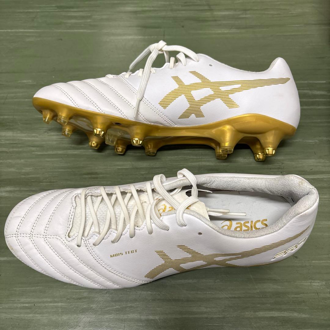 【新品特価】限定　アシックス　DSライト X-FLY PRO ST 28cm