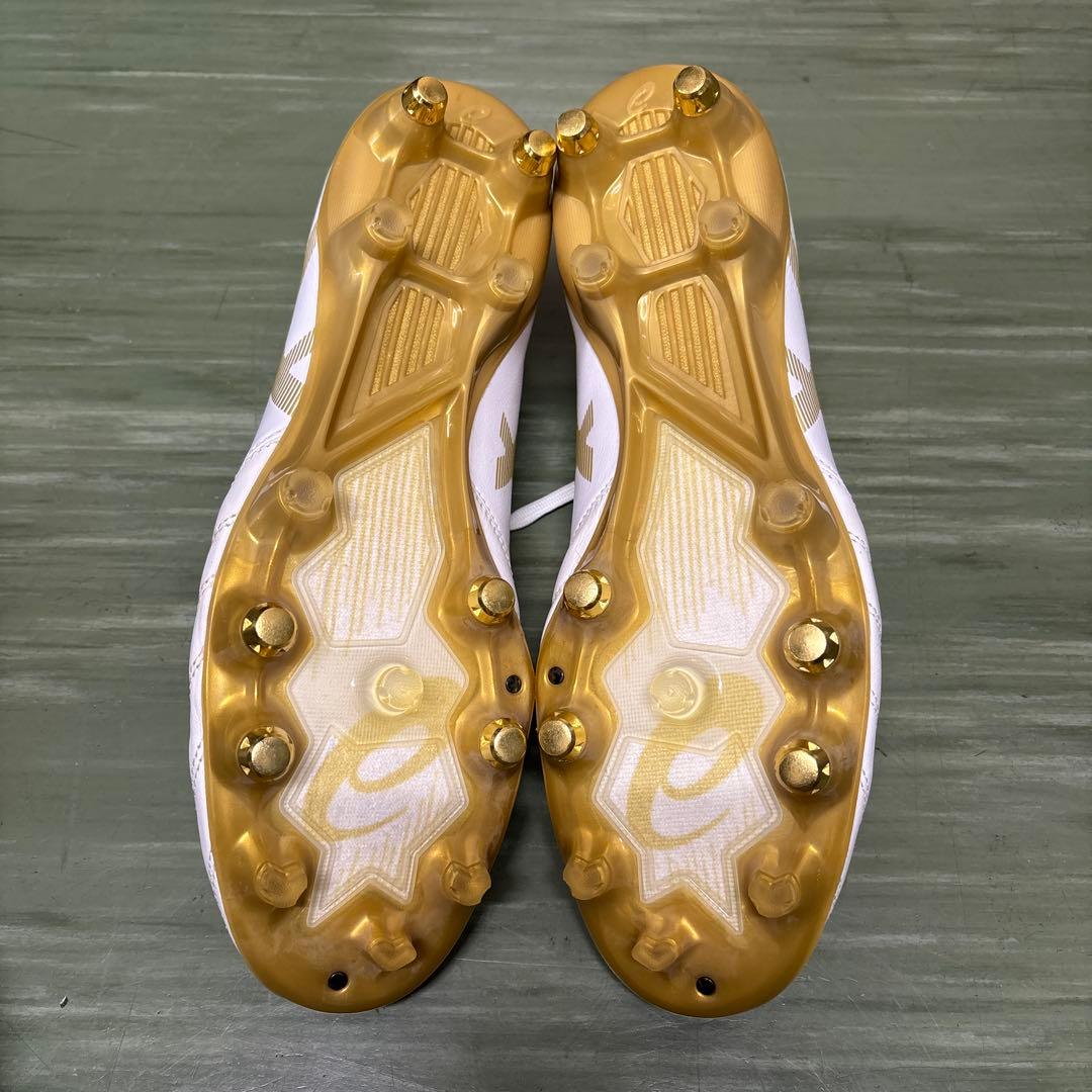 【新品特価】限定　アシックス　DSライト X-FLY PRO ST 28cm