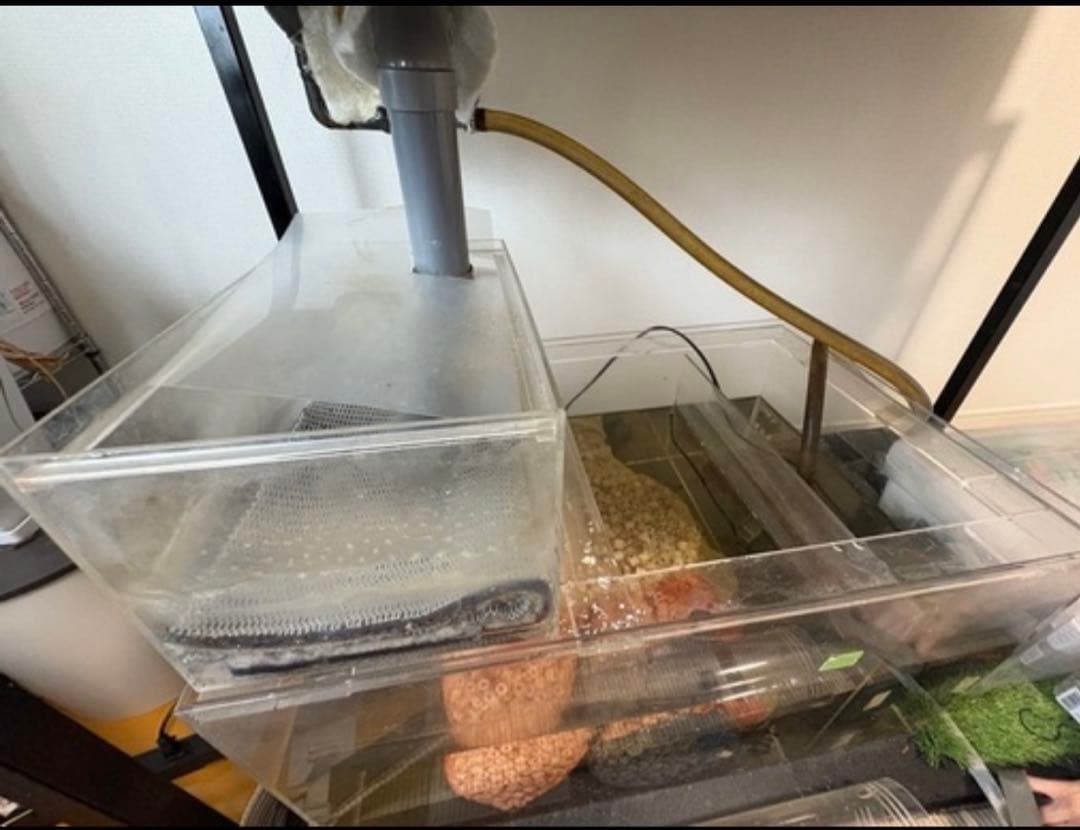 オーバーフロー濾過水セット(アクリル・120cm)　LED照明付(直接受渡歓迎)