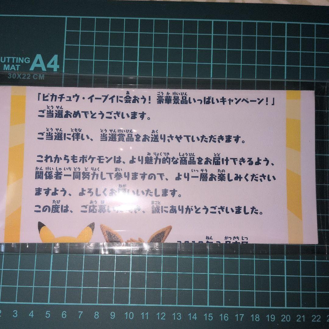 あばれる君　　当選通知書付き