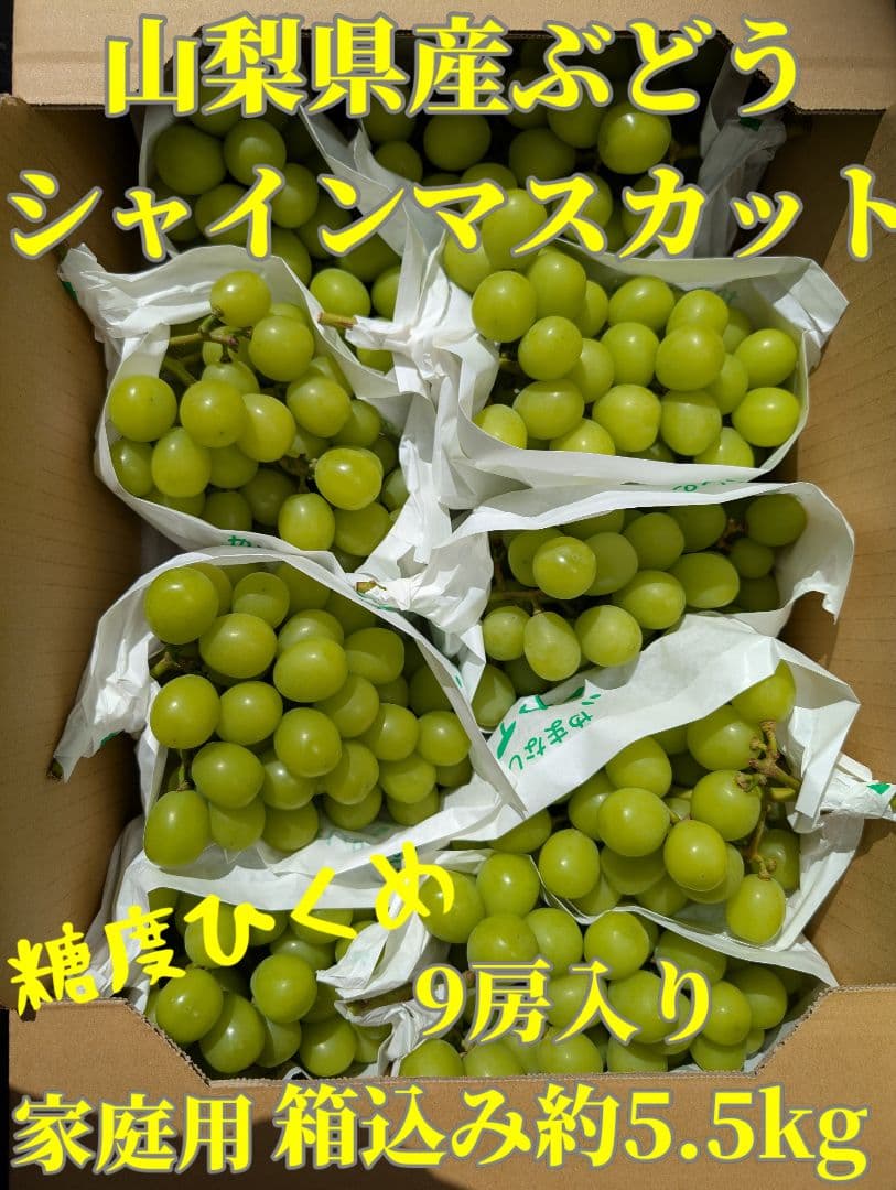 山梨県産ぶどう　シャインマスカット　9房入り　箱込み約5,5kg