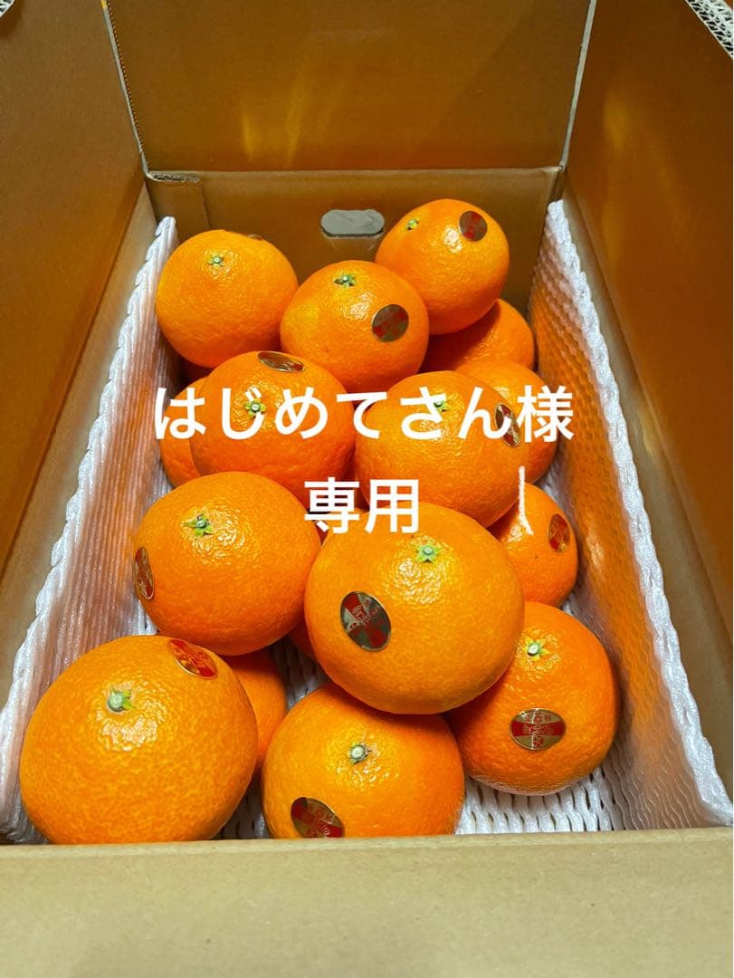 紅まどんな(5kgx2箱)⚠特選2L玉