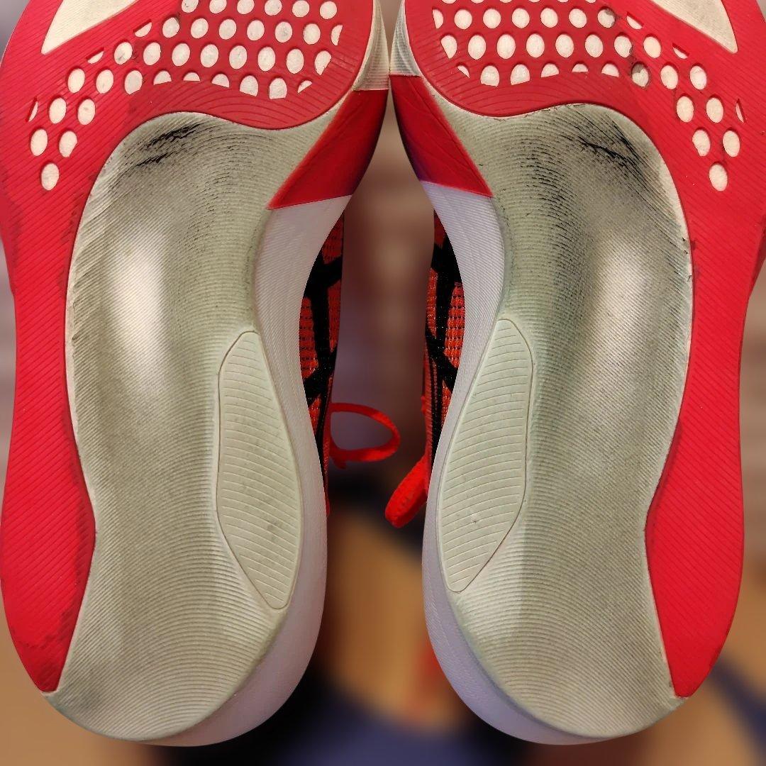 ASICS メタスピード　SPEED SKY TOKYO 25cm