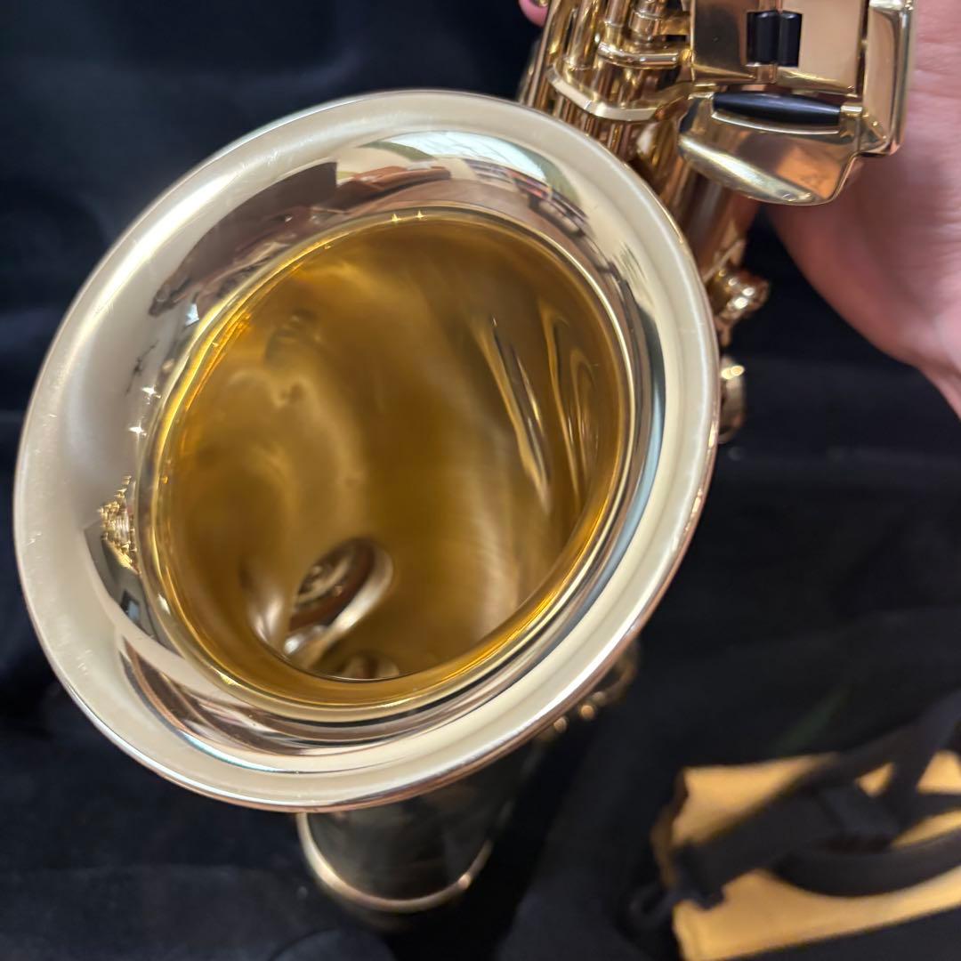 SELMER AXOS セルマー アクソス 美品 アルトサックス 純正ケース付