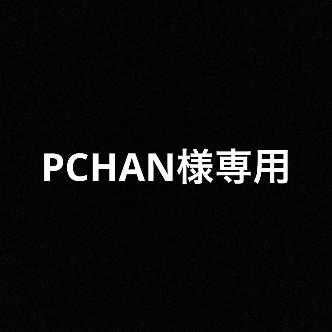 トップス PCHAN