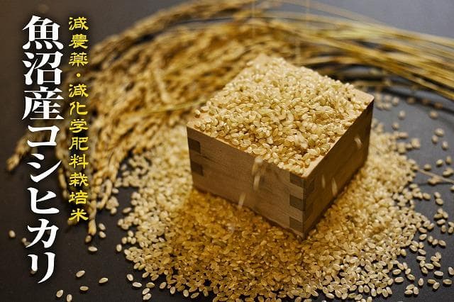 南魚沼産(天日干し米)新米コシヒカリ 30kg 令和7年度産 玄米 送料無料!