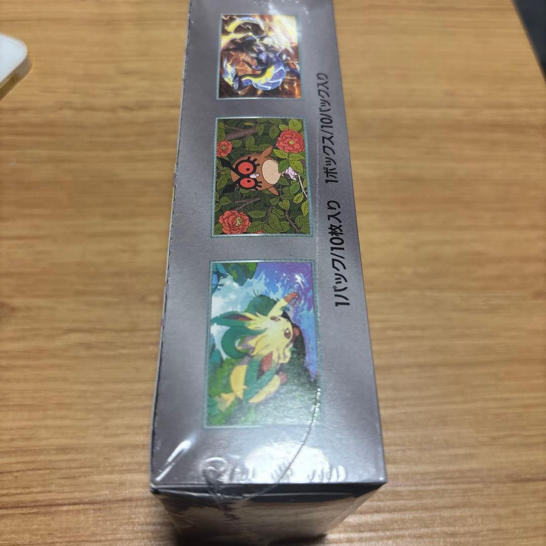 ポケモンカードゲーム テラスタルフェスex