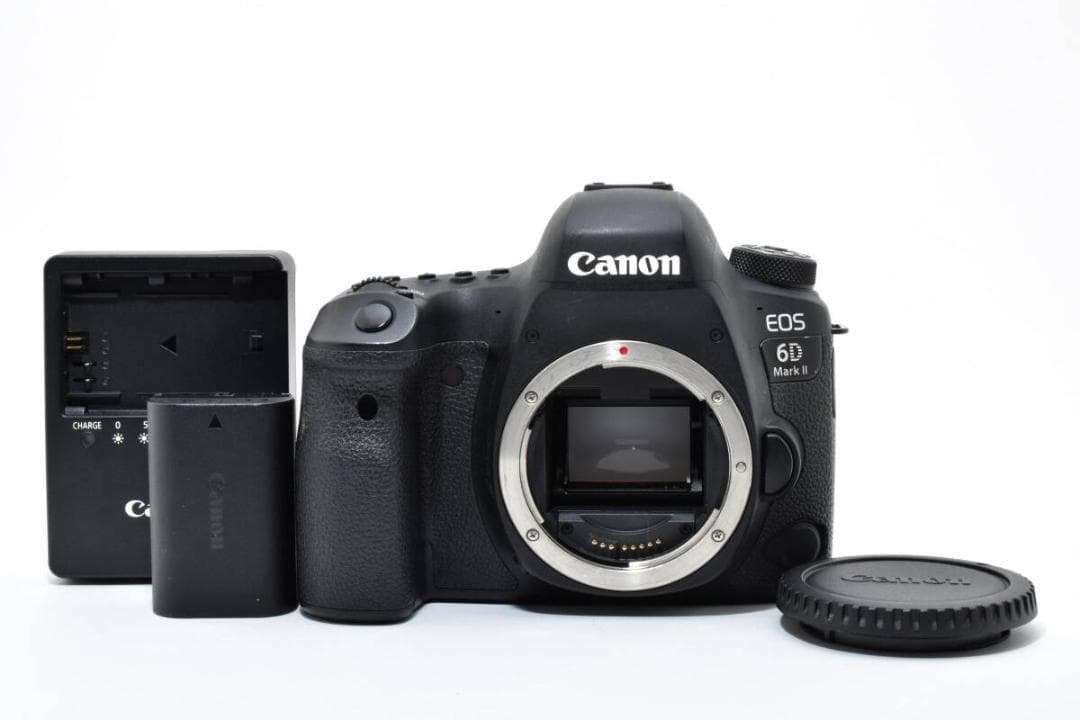 ショット数: 55020回 CANON EOS 6D Mark ii #1114