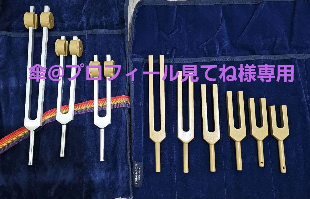 アキュトニクス 音叉 ヒーリング