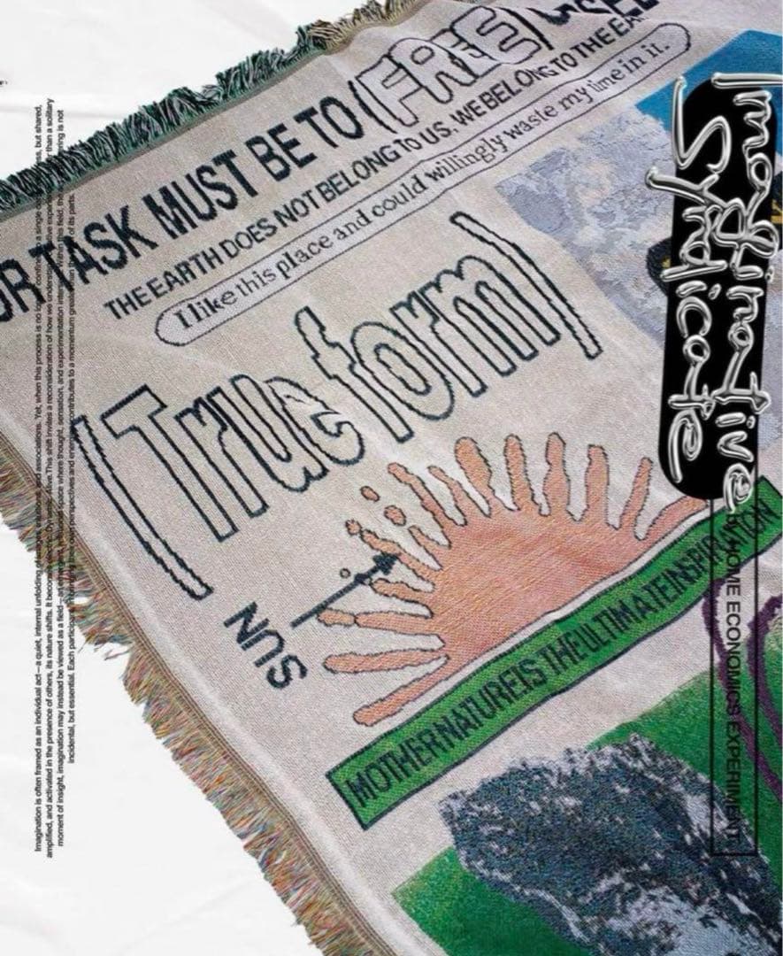 【完売品、美品】 ECONOMICS EXPERIMENT ラグ　マット