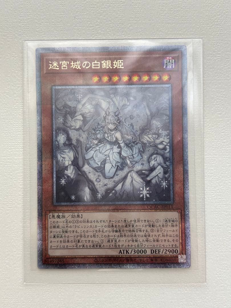 迷宮城の白銀姫　25th クオシク 絵違い