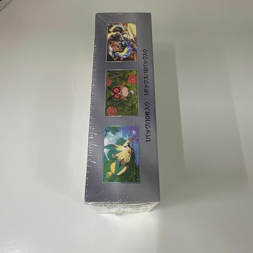 ポケモン テラスタルフェスEX シュリンク付