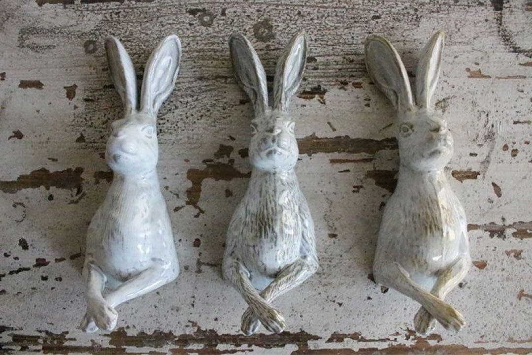 ヤナカーン　壁掛け　５体セット　新品未使用　LAND