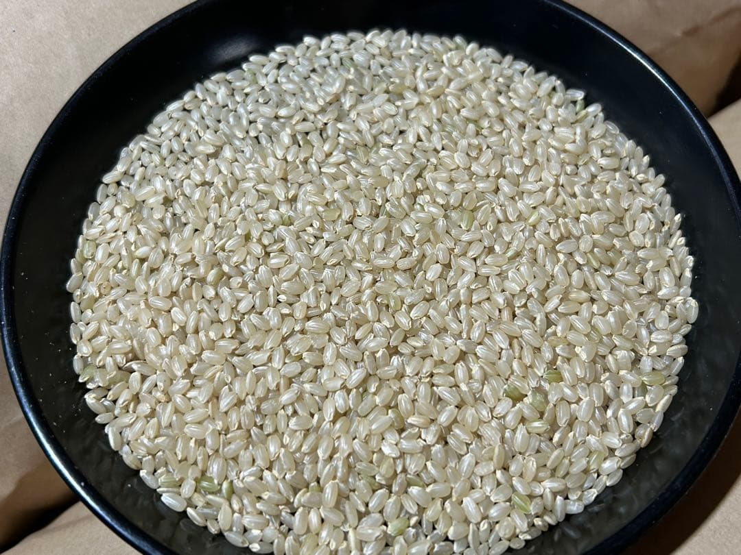 令和7年産「ミルキークイーン」玄米24kg 【送料無料】