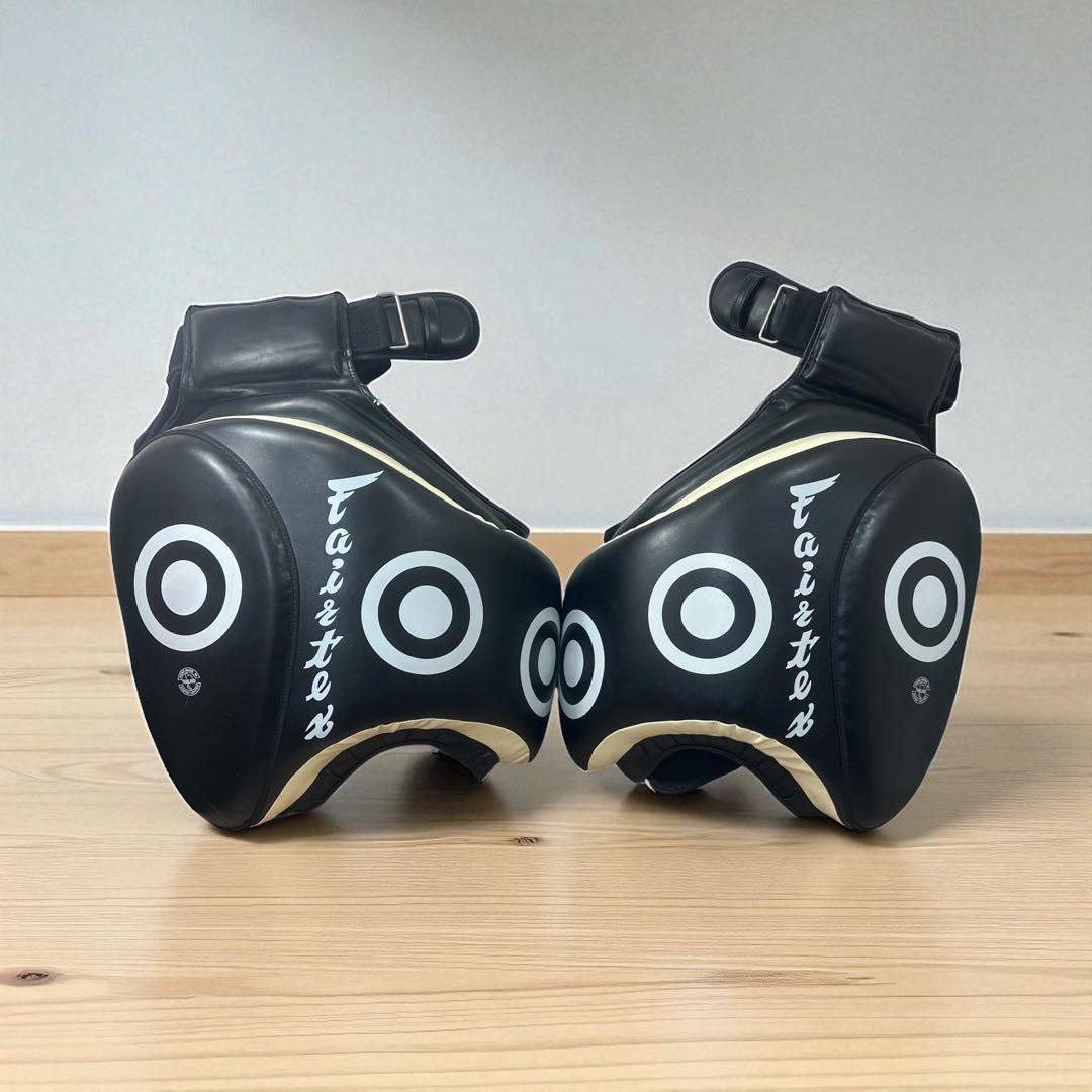 フェアテックス ローキック用タイパッド