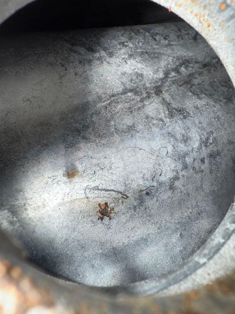 cb250t タンク　サイドカバー　外装