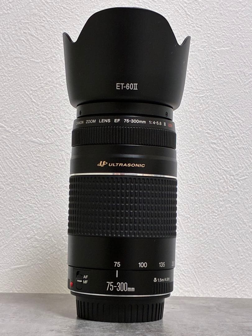 ⭐️美品⭐️ Canon EF 75-300mm F4-5.6 III USM