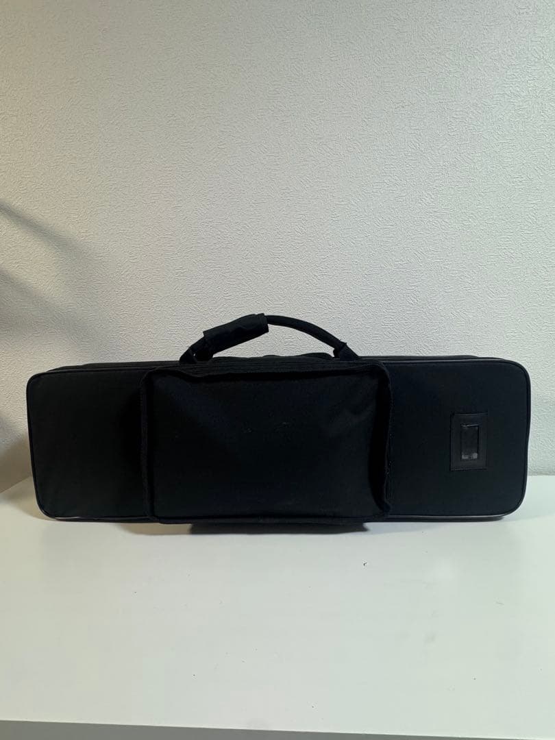 三線本体 蛇皮仕ケース付き