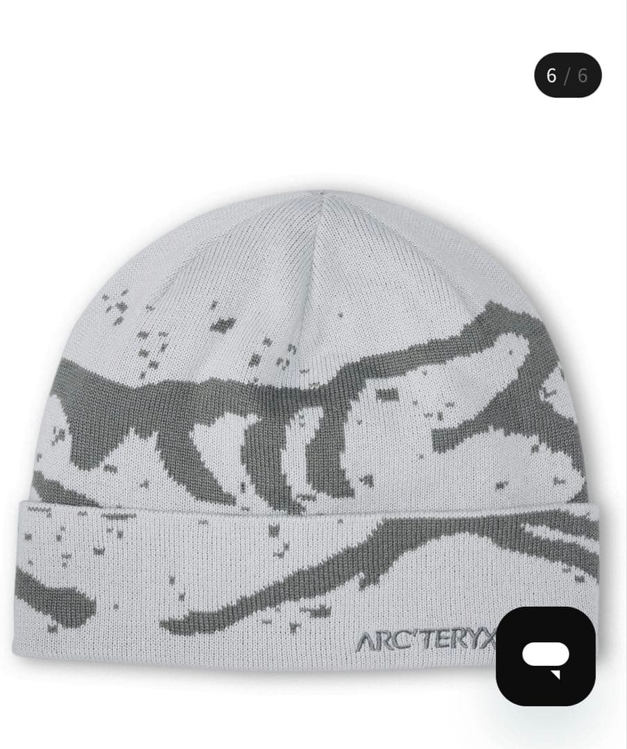 チ*パ様 アークテリクス　ビーニー