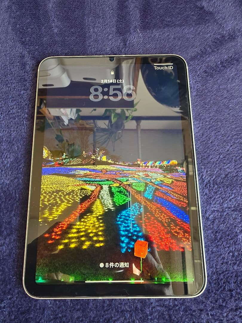 iPad mini6 本体 Starlight　64g 最大容量89%