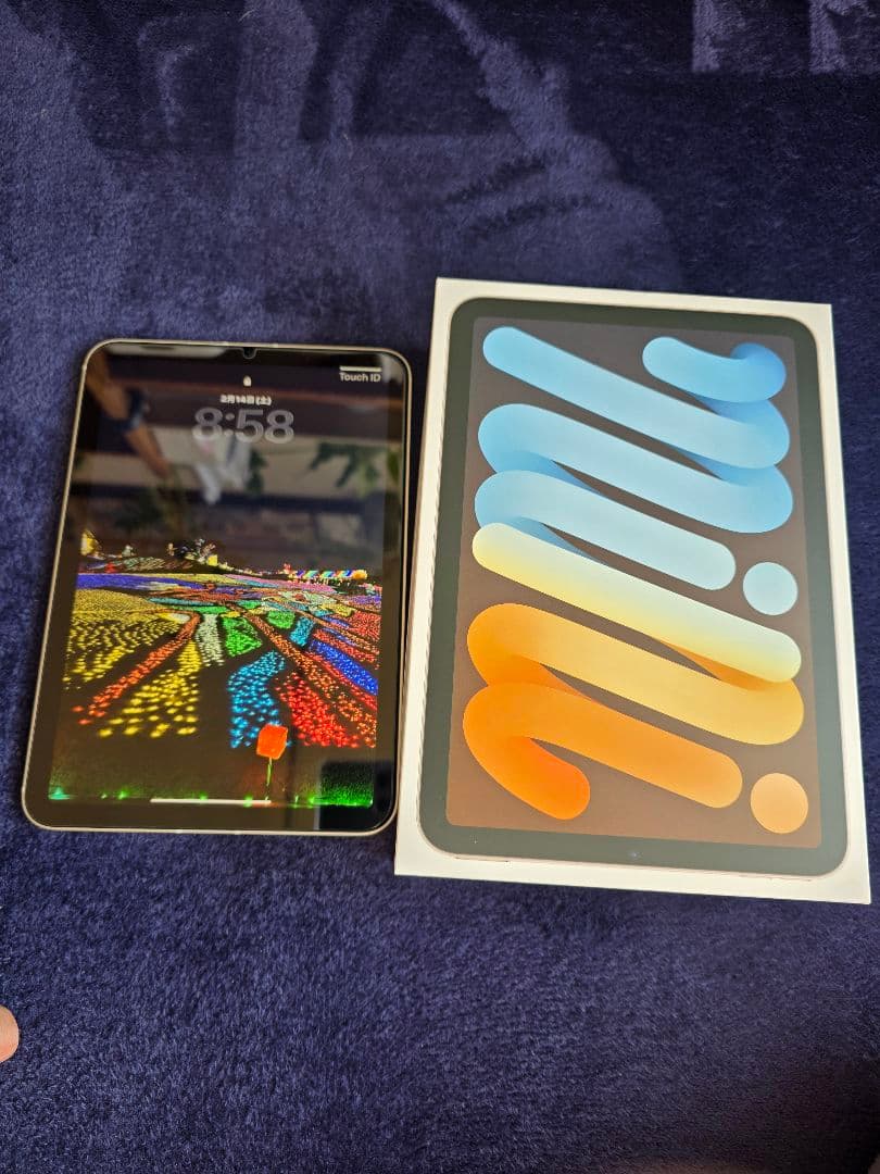 iPad mini6 本体 Starlight　64g 最大容量89%