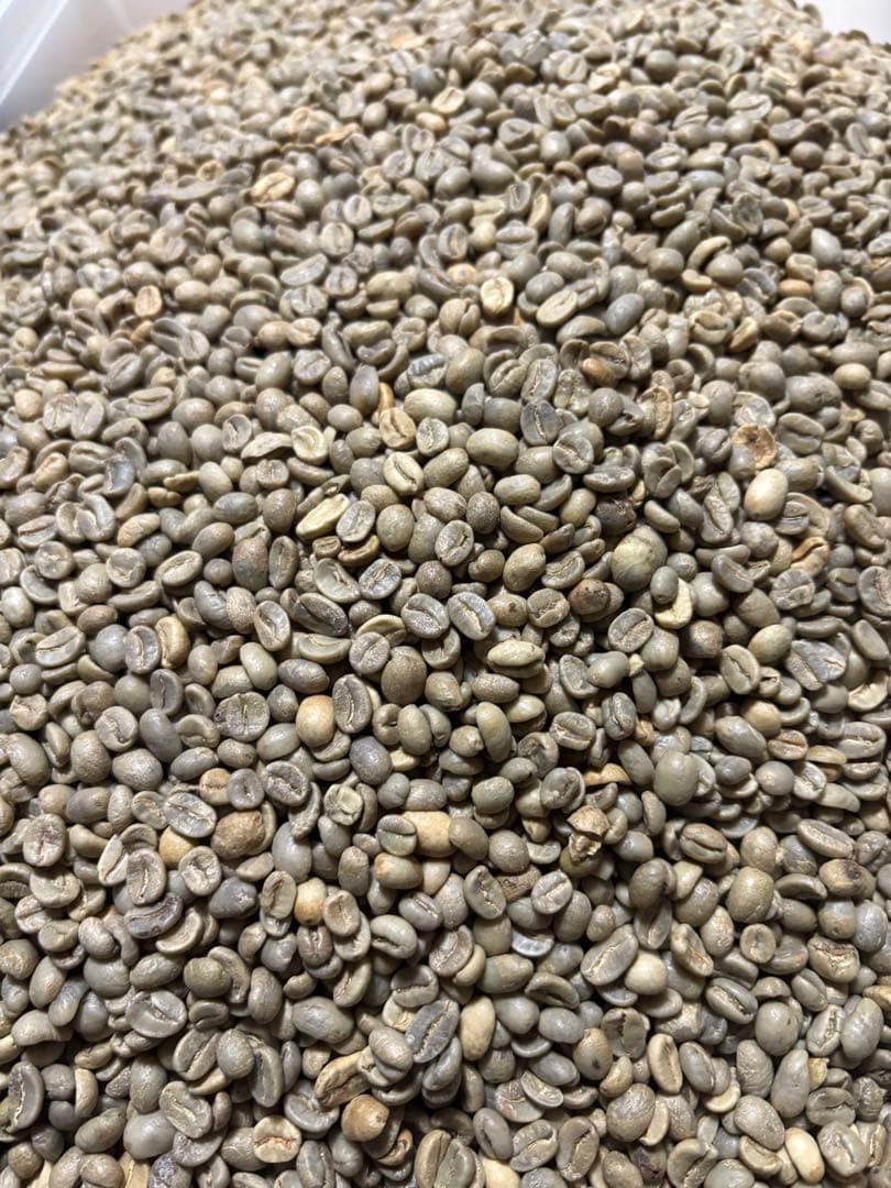 爆安！【コーヒー生豆】コロンビアスプレモ　 8kg 送料無料