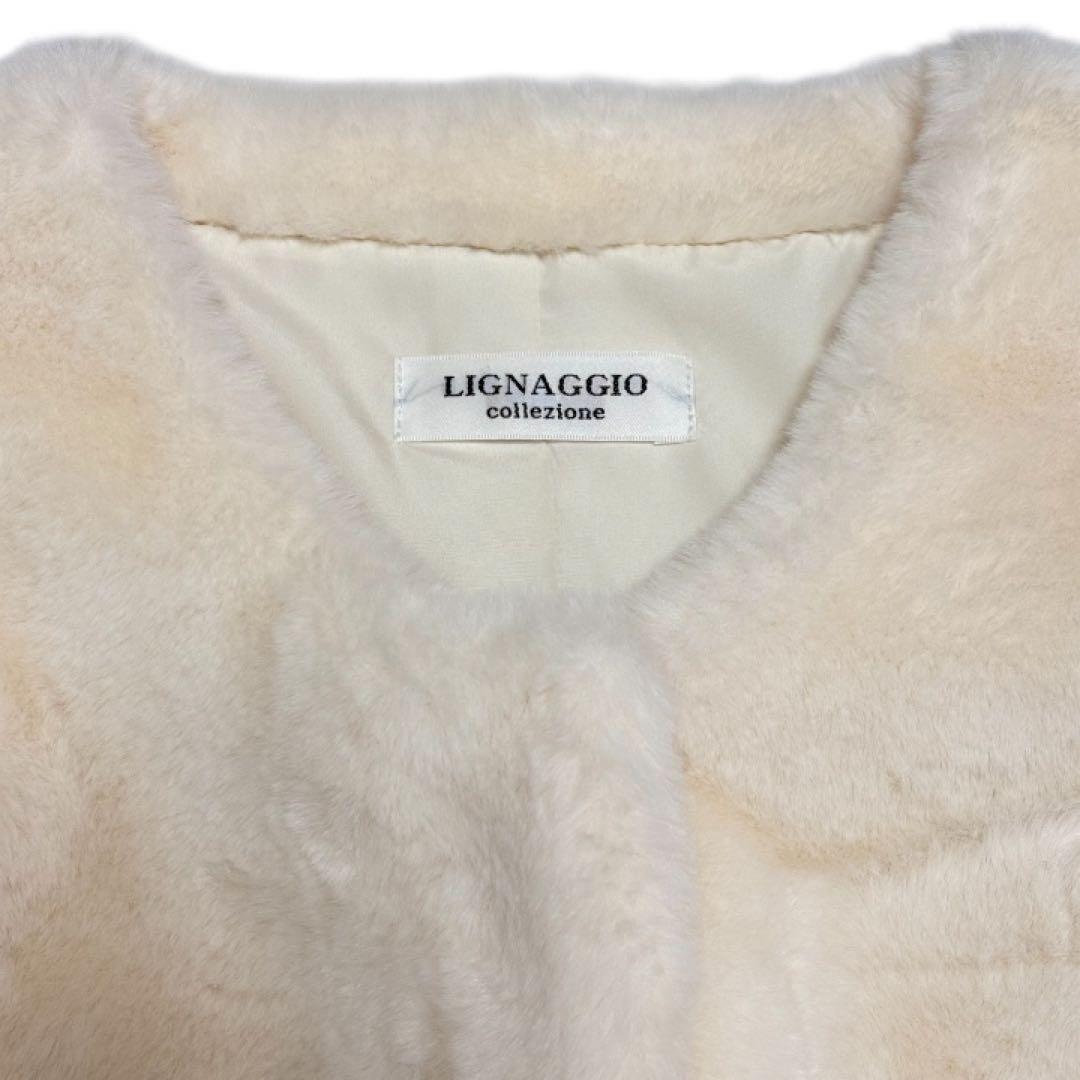 【新品】LIGNAGGIO collezione ファージレELLE SHOP