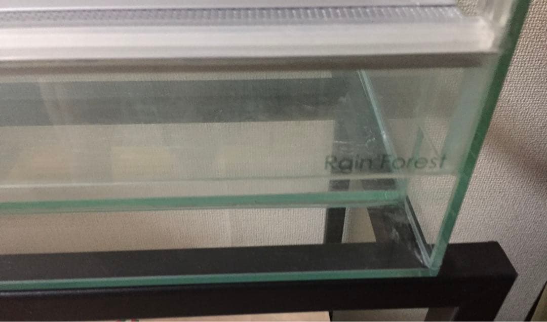 Rain Forest PCP6045 パルダリウムケージ 引取り限定専用