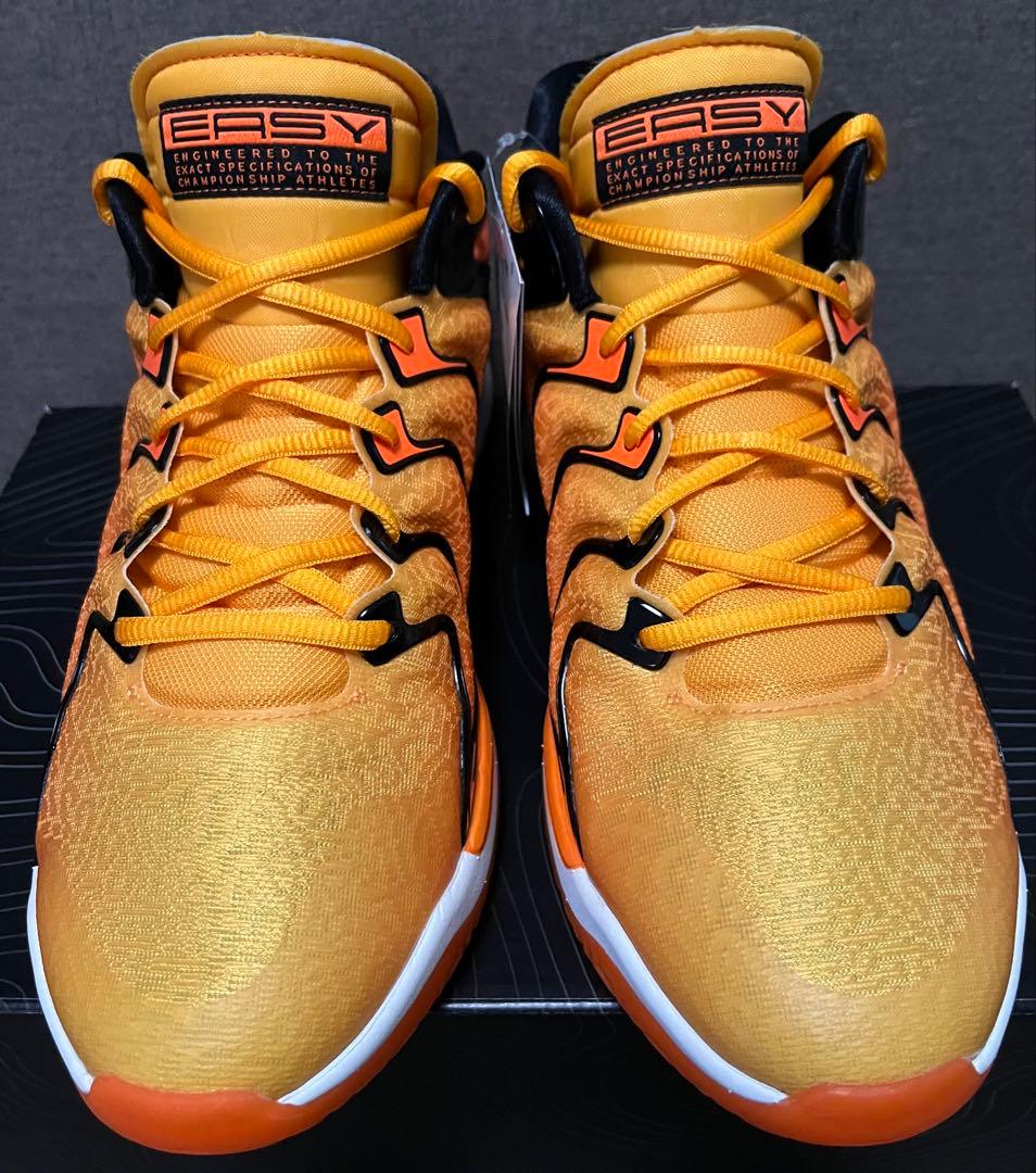 NIKE KD 17 ナイキ KD17 30cm バッシュ NBA 箱付き