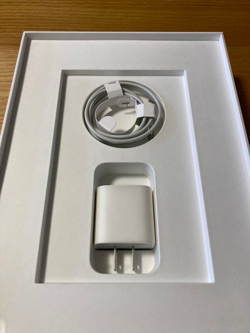 Apple iPad Pro 11インチ　第一世代 64GB Wi-Fiモデル