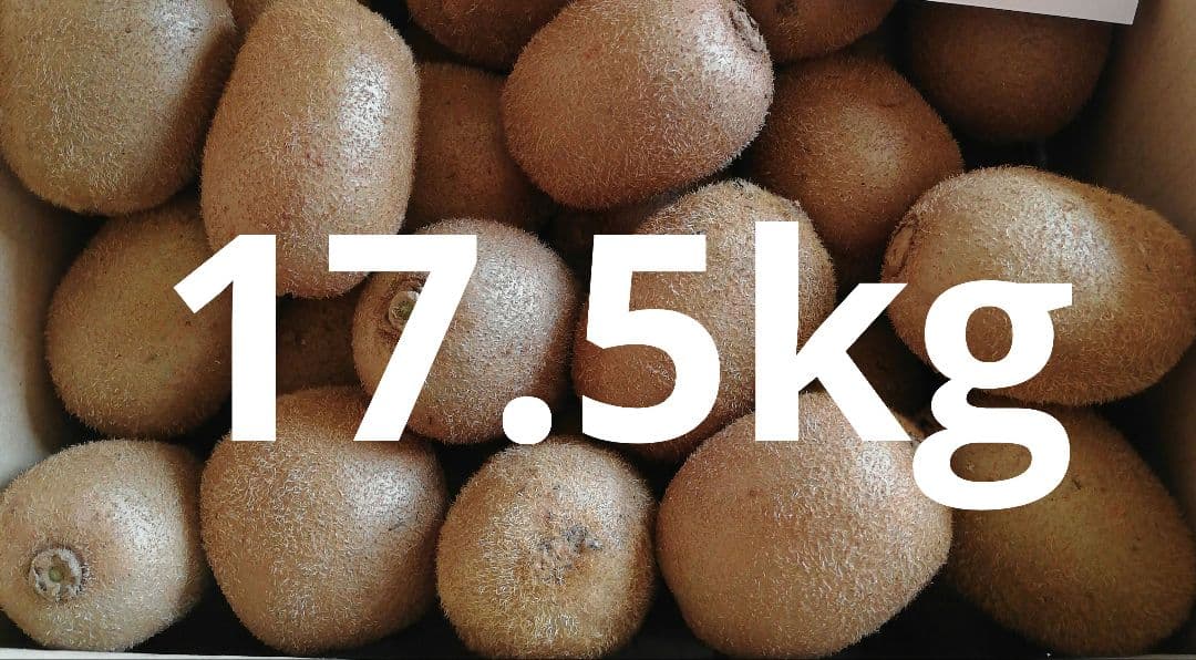 キウイフルーツ　17.5kg以上