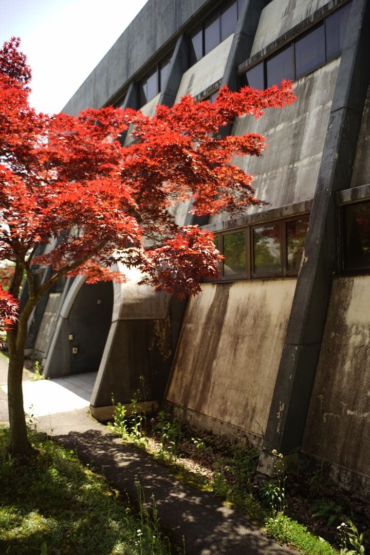 作例付き　OLYMPUS AUTO W 28mm F3.5 管mpr