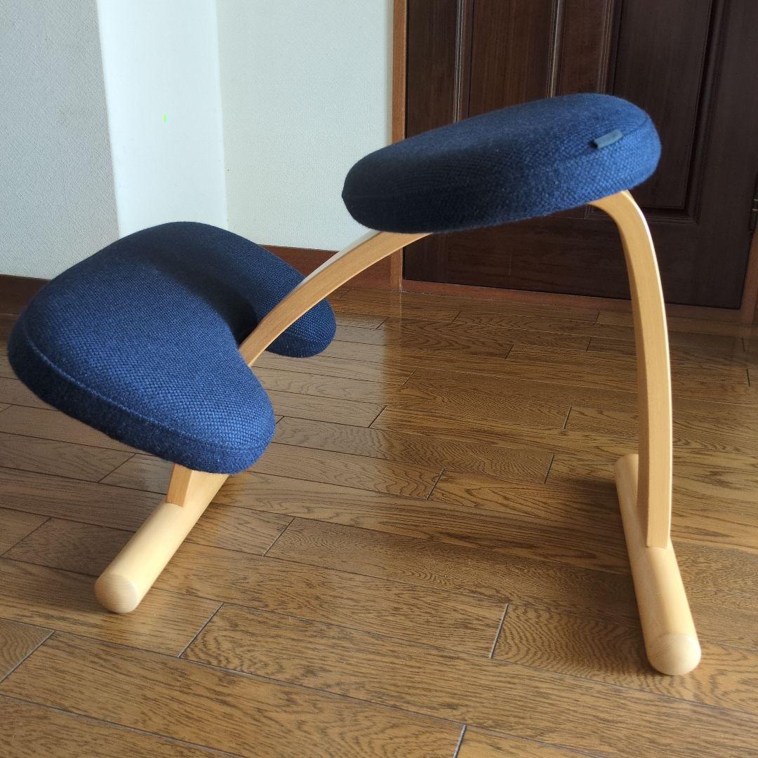 RYBO・リボ・Balans® Easy バランスイージー　ダークブルー