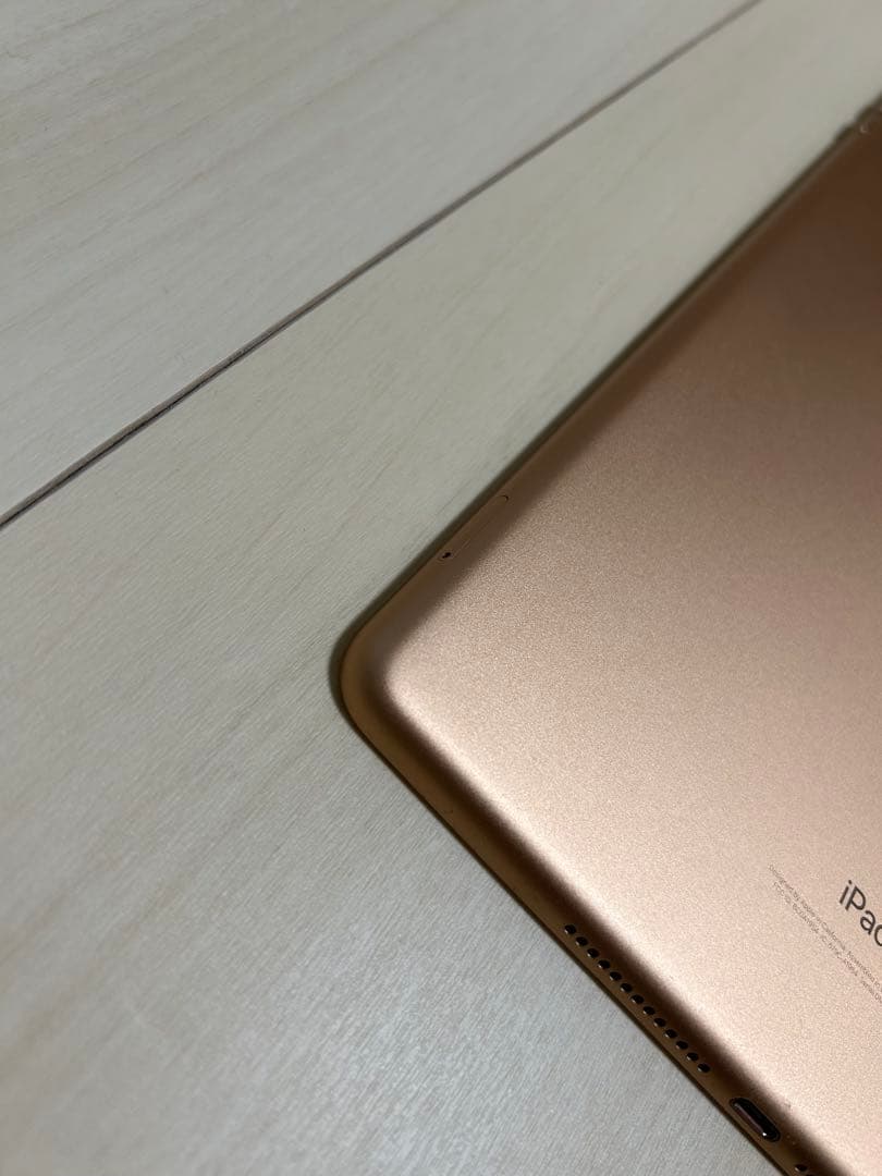 Apple iPad (第6世代) A1954 32G