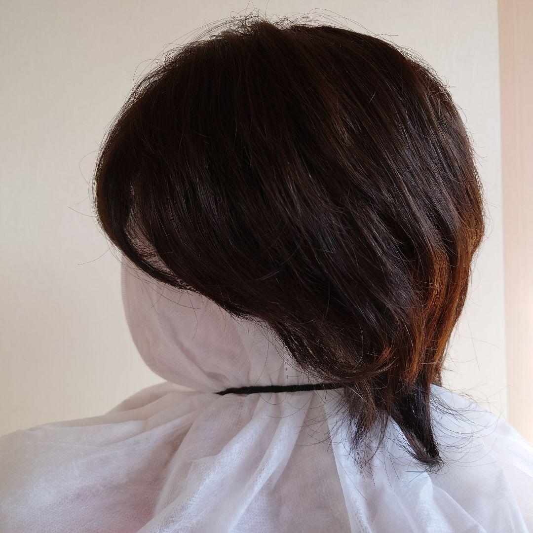 【新品未使用】レオンカEX-15 F2（ 栗色～栗黄色）ウイッグ