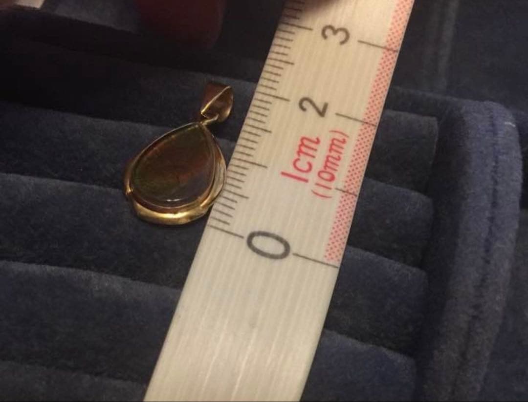 ネックレストップ 14K アンモライト　希少