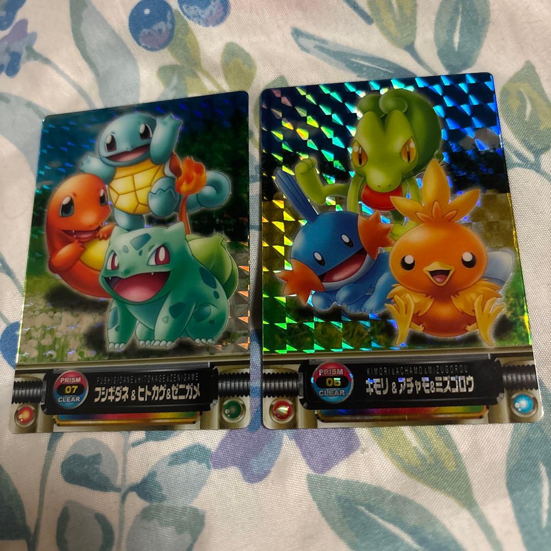 ポケットモンスター　ポケカ　ポケモン図鑑カード フシギダネ　キモリ