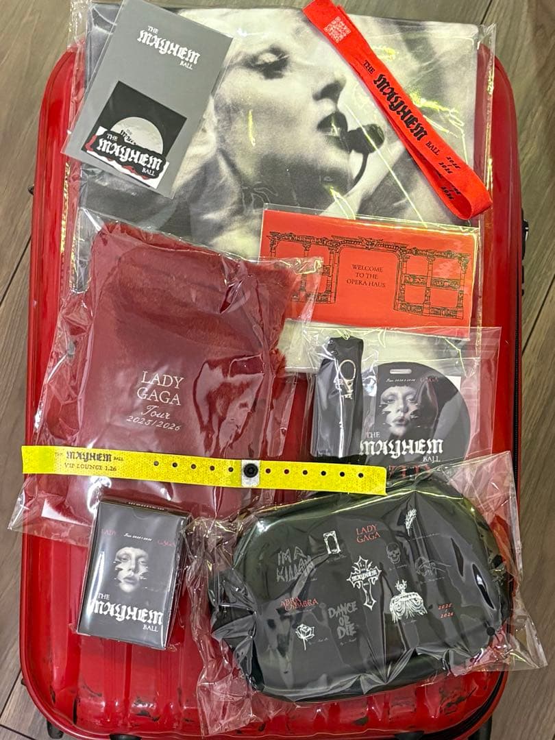 LADY GAGA MAYHEM BALL VIP GOLD グッズ フルセット