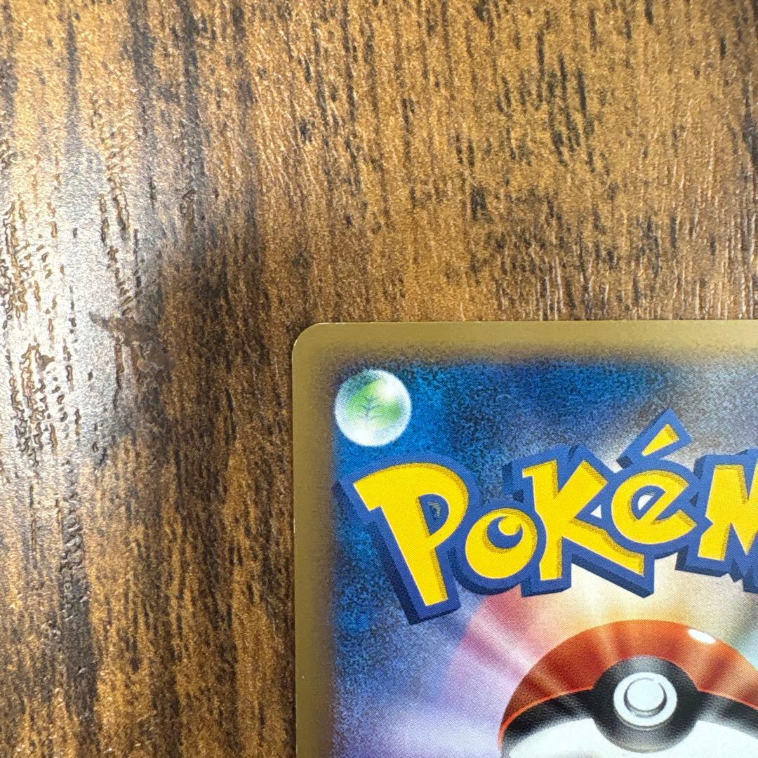 y*u様 ヤドン　ヤドラン　ドミノピザプロモ