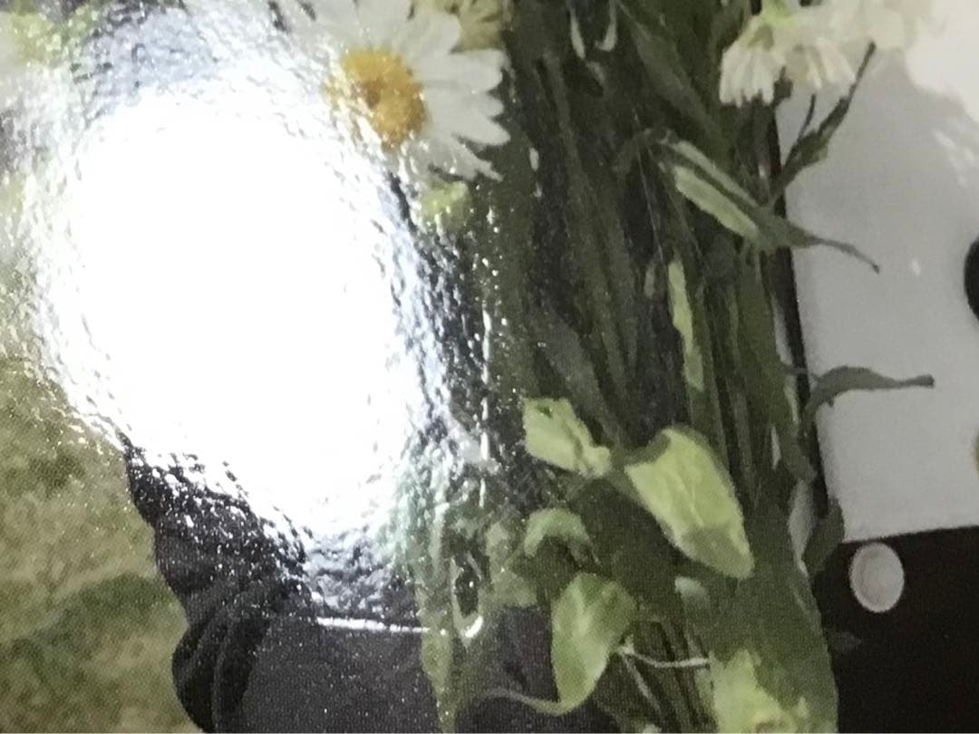 Straykids maxident US b&n トレカ ハン