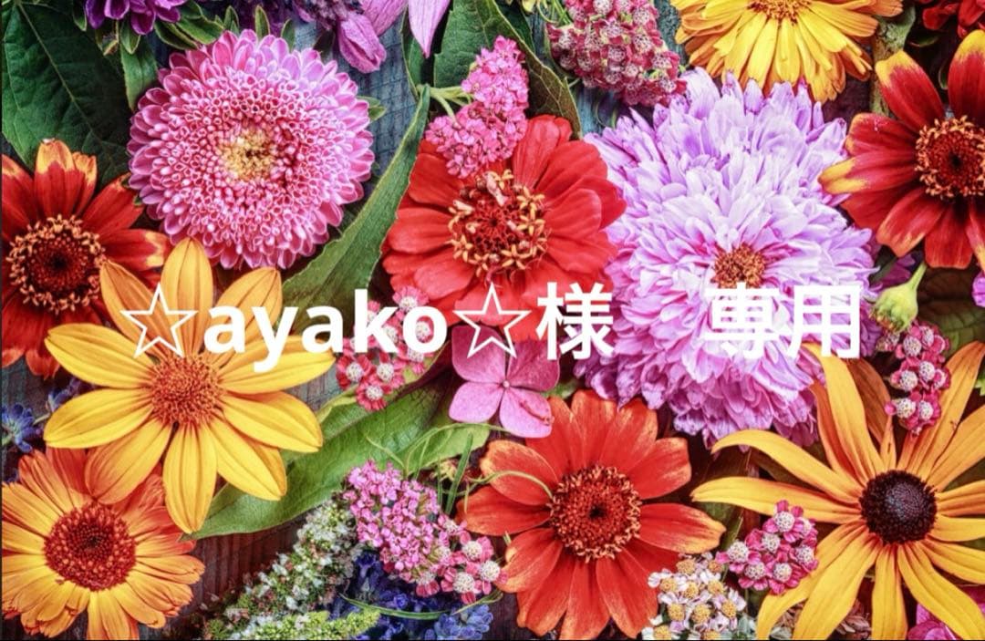 ☆ayako☆