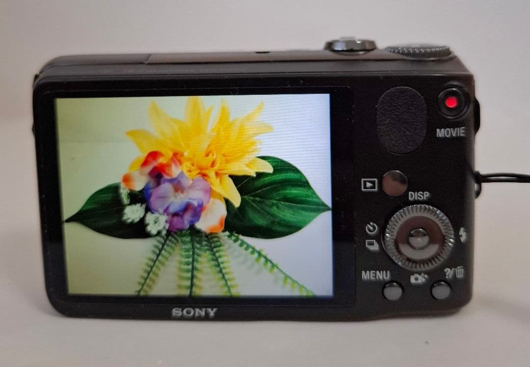 [美品]ソニー SONY Cyber-Shot HX10V デジタルカメラ