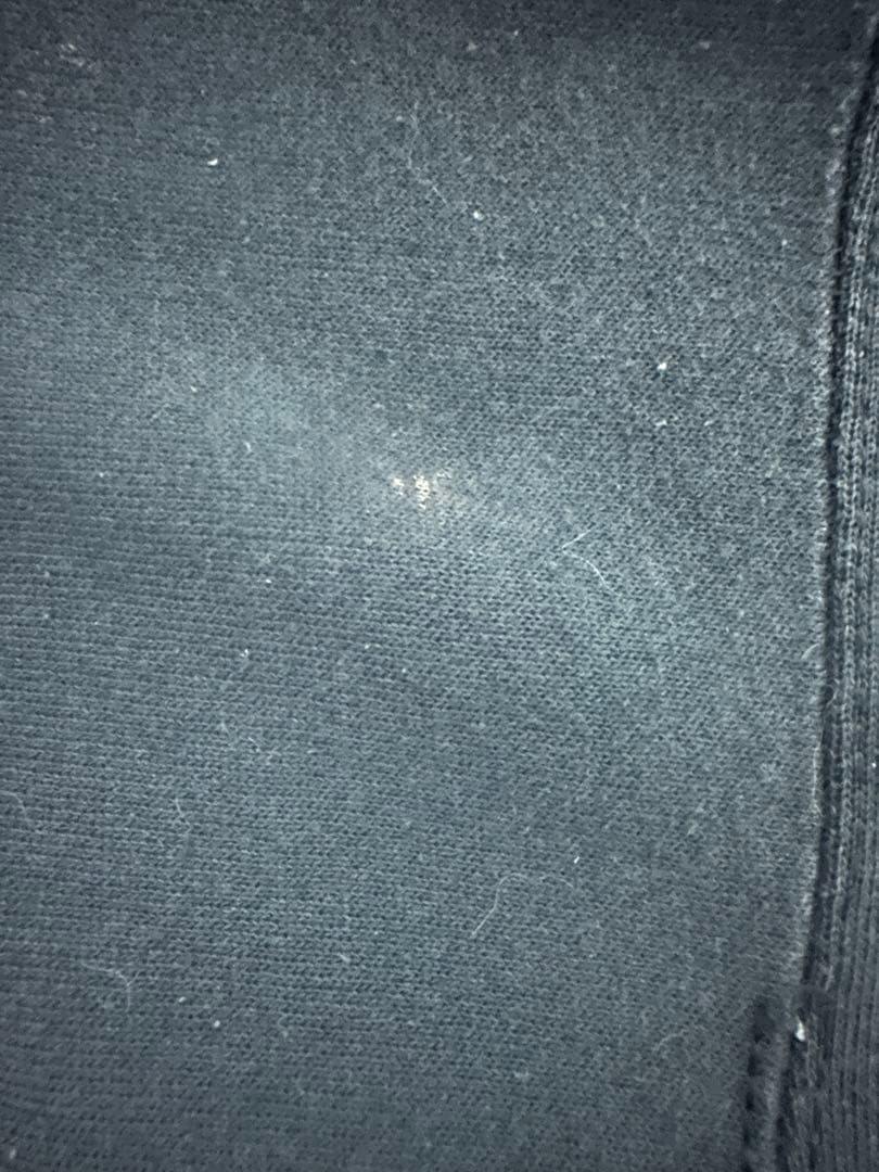 【希少】Hanes ヘインズ 90s プレミアムウェイト スウェット ブラック